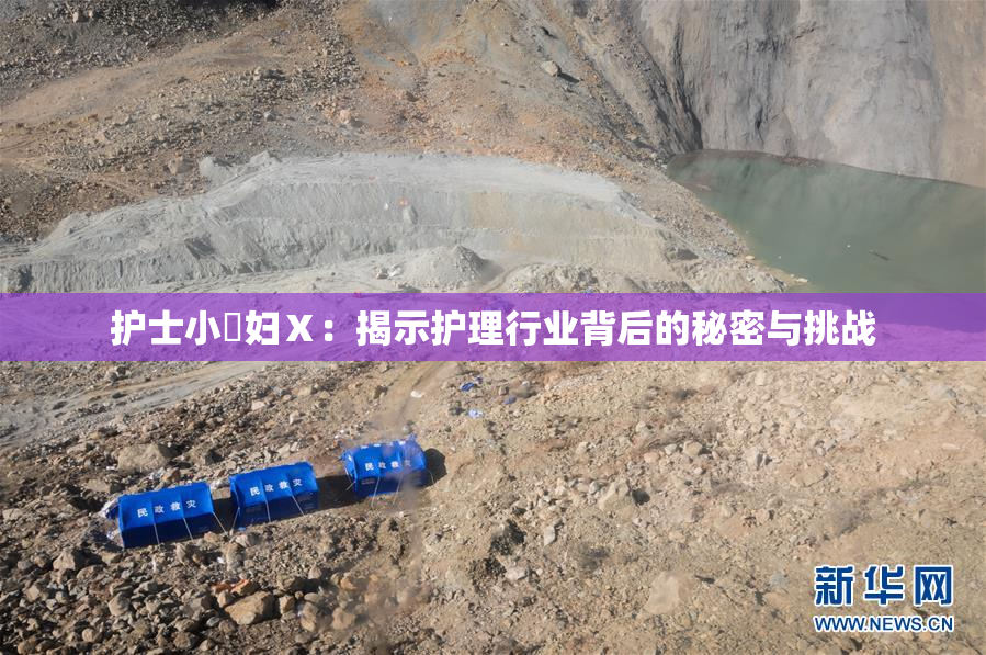 护士小婬妇Ⅹ：揭示护理行业背后的秘密与挑战