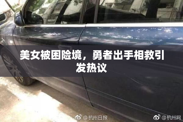 美女被困险境，勇者出手相救引发热议