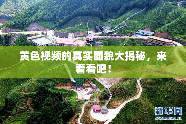 黄色视频的真实面貌大揭秘，来看看吧！