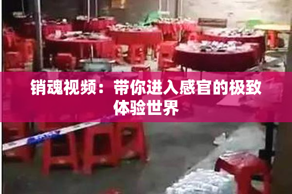 销魂视频：带你进入感官的极致体验世界