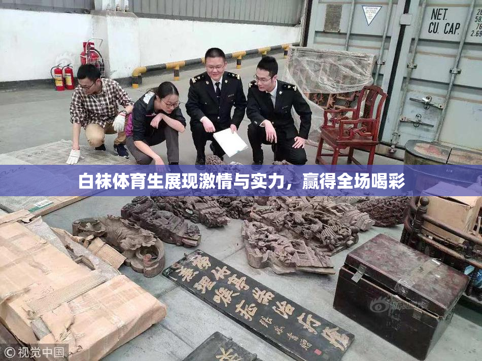 白袜体育生展现激情与实力，赢得全场喝彩