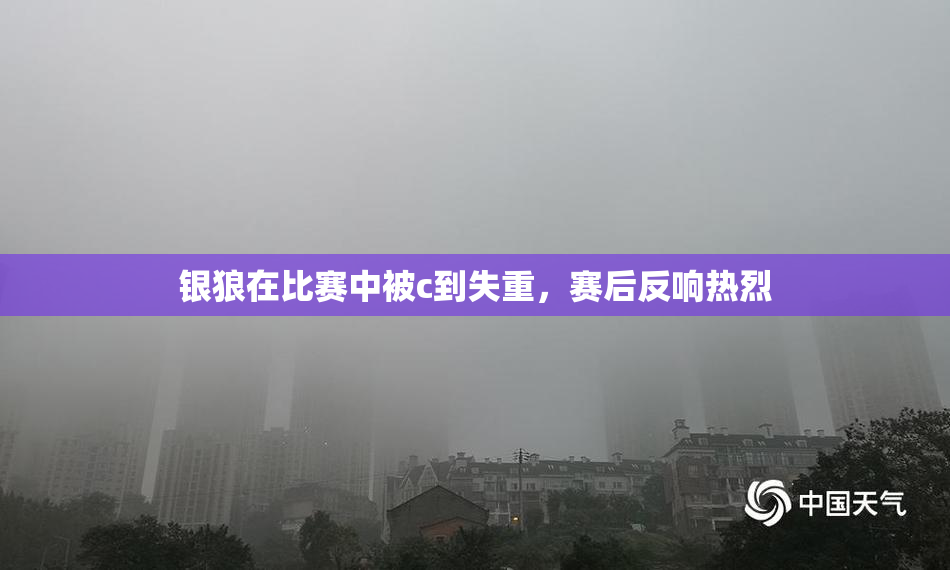 银狼在比赛中被c到失重，赛后反响热烈