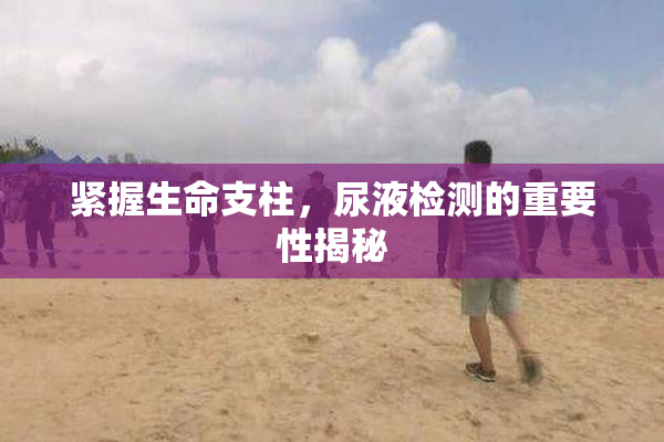 紧握生命支柱，尿液检测的重要性揭秘