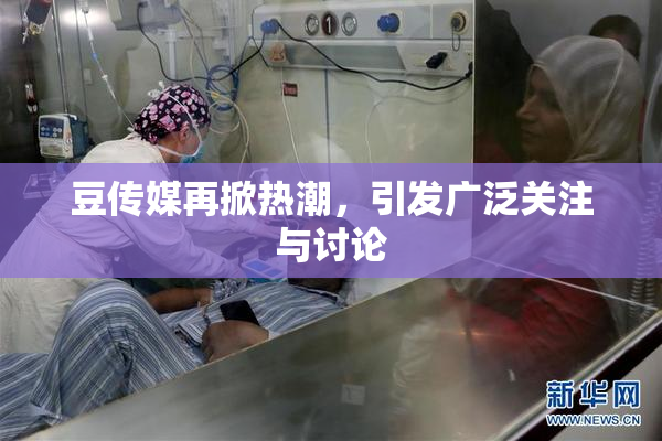 豆传媒再掀热潮，引发广泛关注与讨论