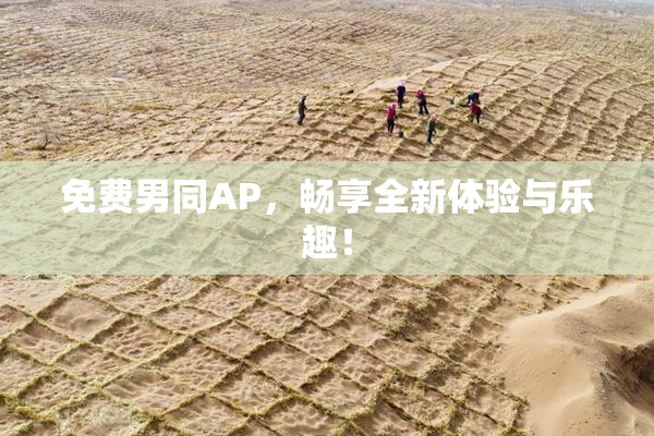 免费男同AP，畅享全新体验与乐趣！