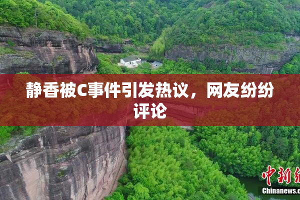 静香被C事件引发热议，网友纷纷评论