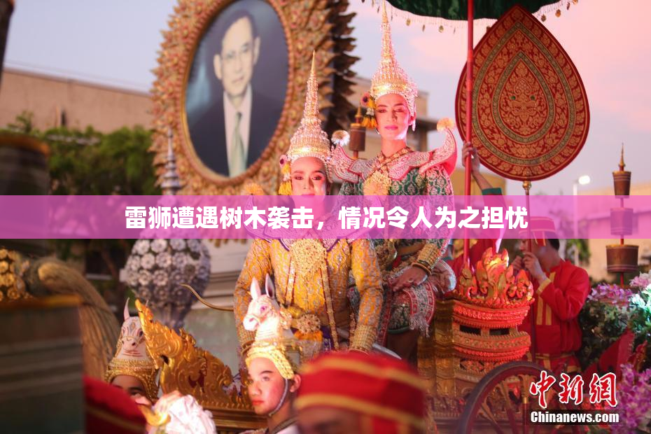 雷狮遭遇树木袭击，情况令人为之担忧