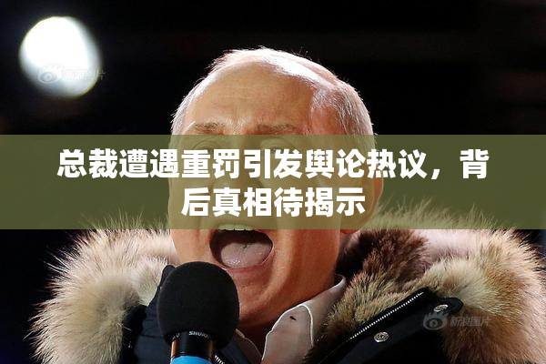 总裁遭遇重罚引发舆论热议，背后真相待揭示