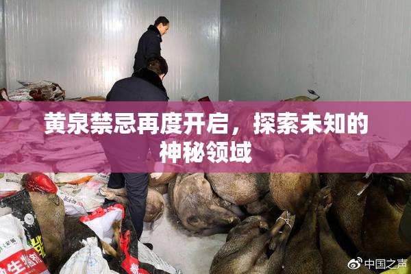 黄泉禁忌再度开启，探索未知的神秘领域