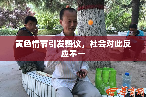 黄色情节引发热议，社会对此反应不一