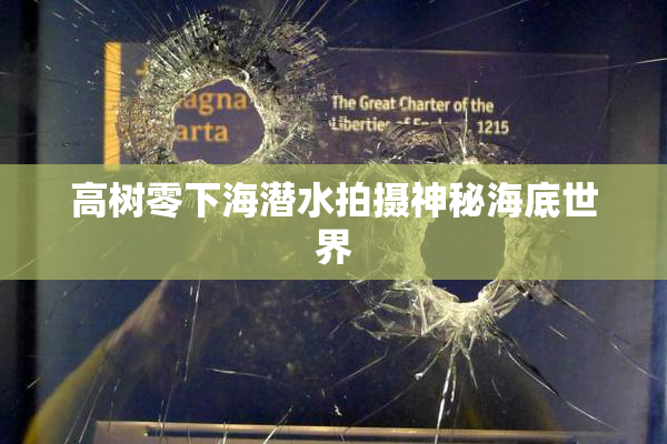 高树零下海潜水拍摄神秘海底世界