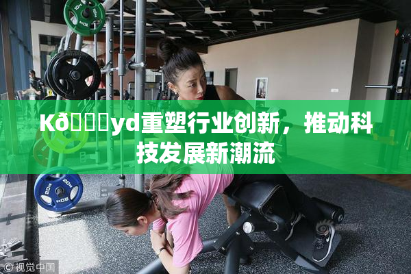 K🈚yd重塑行业创新，推动科技发展新潮流