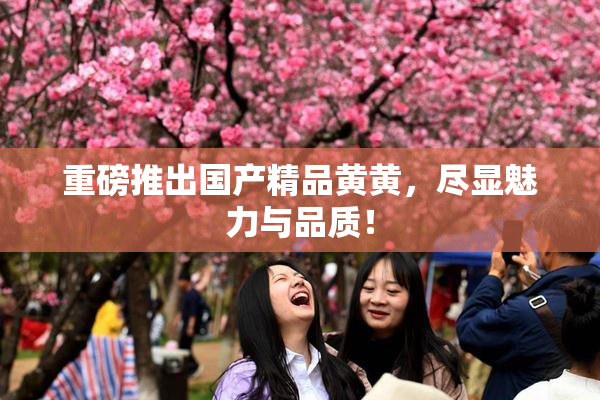 重磅推出国产精品黄黄，尽显魅力与品质！