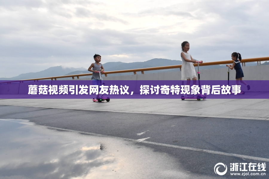 蘑菇视频引发网友热议，探讨奇特现象背后故事