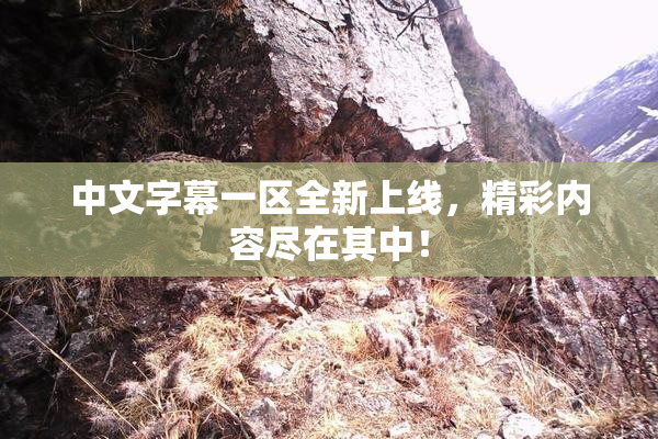 中文字幕一区全新上线，精彩内容尽在其中！