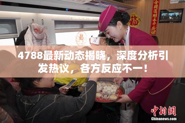 4788最新动态揭晓，深度分析引发热议，各方反应不一！