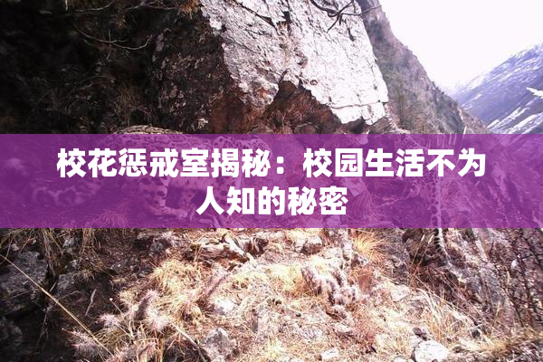 校花惩戒室揭秘：校园生活不为人知的秘密