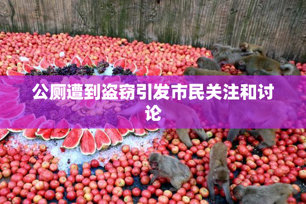 公厕遭到盗窃引发市民关注和讨论