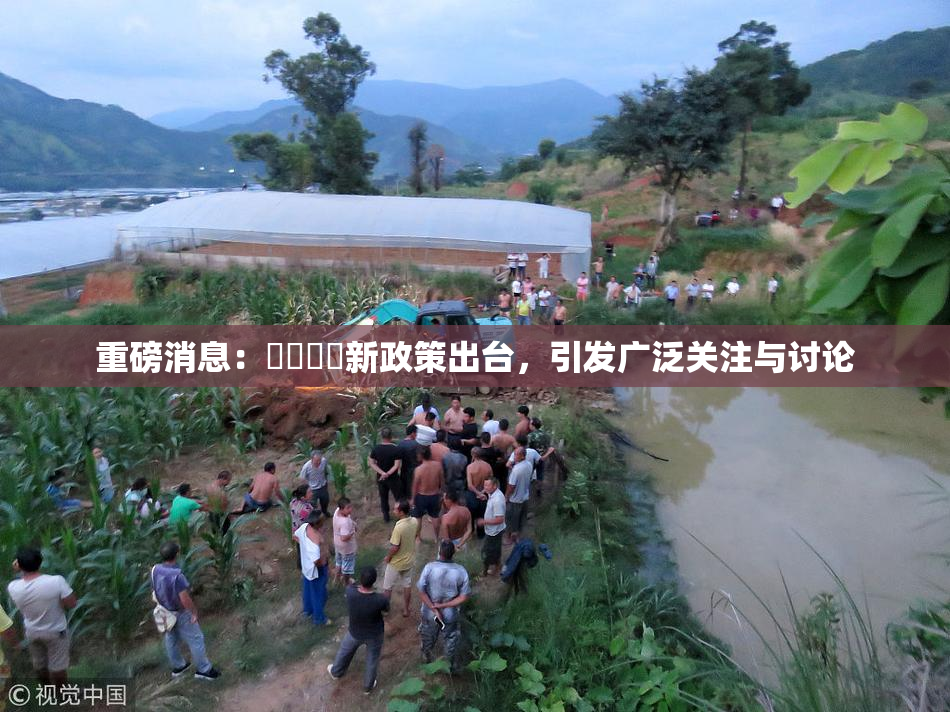 重磅消息：馃悢馃悢新政策出台，引发广泛关注与讨论
