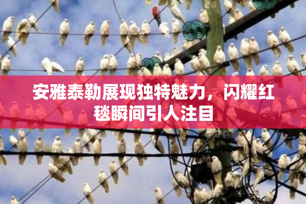 安雅泰勒展现独特魅力，闪耀红毯瞬间引人注目