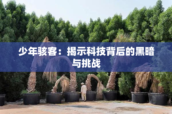 少年骇客：揭示科技背后的黑暗与挑战