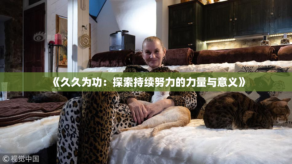 《久久为功：探索持续努力的力量与意义》