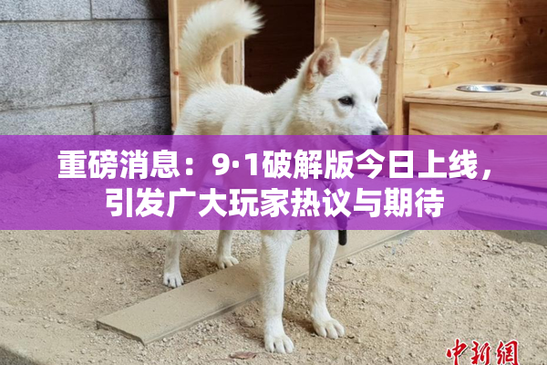 重磅消息：9·1破解版今日上线，引发广大玩家热议与期待