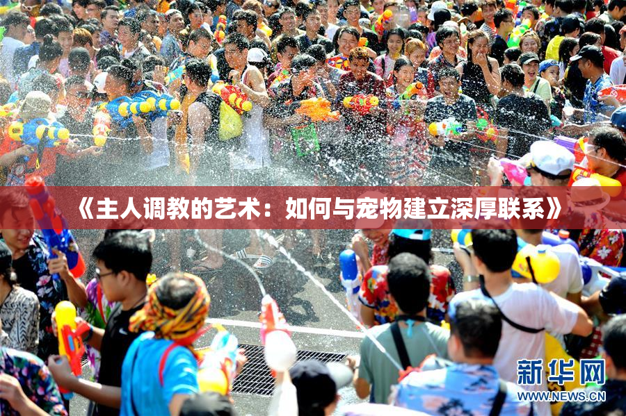 《主人调教的艺术：如何与宠物建立深厚联系》