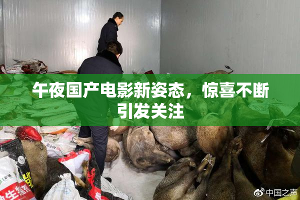 午夜国产电影新姿态，惊喜不断引发关注