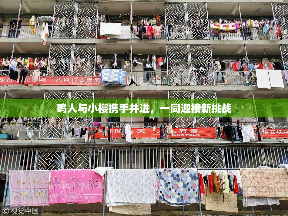 鸣人与小樱携手并进，一同迎接新挑战