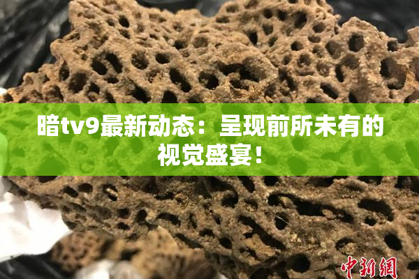 暗tv9最新动态：呈现前所未有的视觉盛宴！