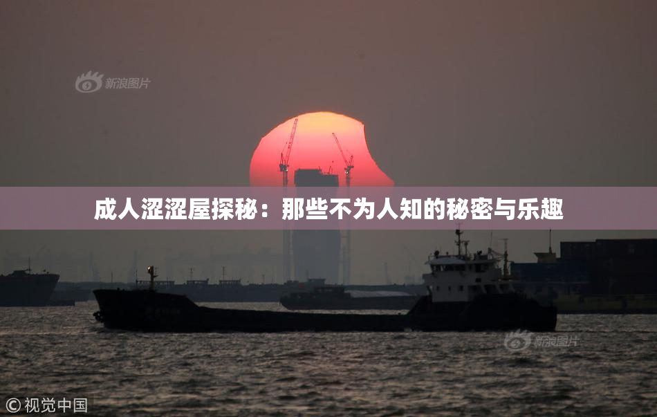 成人涩涩屋探秘：那些不为人知的秘密与乐趣