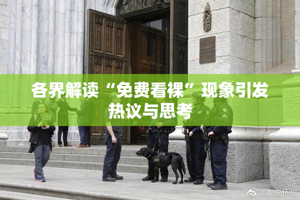 各界解读“免费看裸”现象引发热议与思考