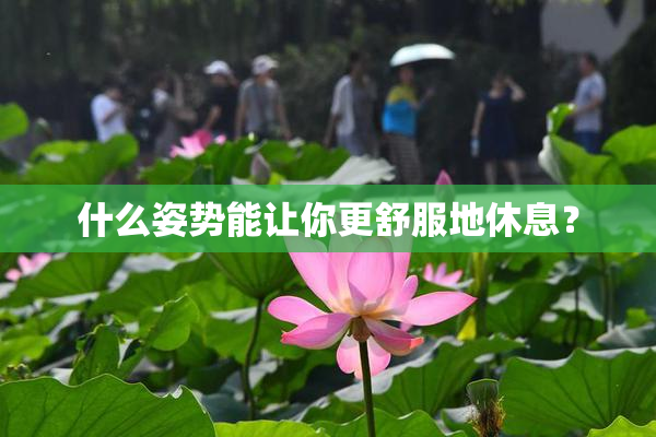 什么姿势能让你更舒服地休息？