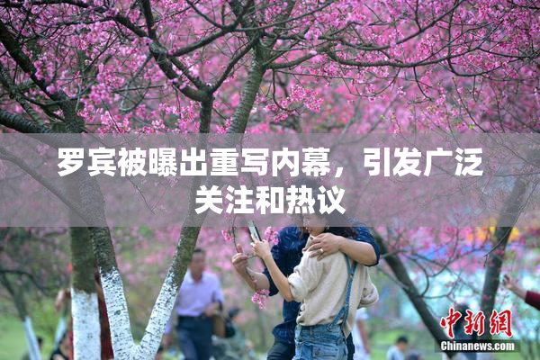 罗宾被曝出重写内幕，引发广泛关注和热议