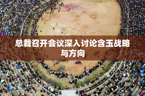 总裁召开会议深入讨论含玉战略与方向