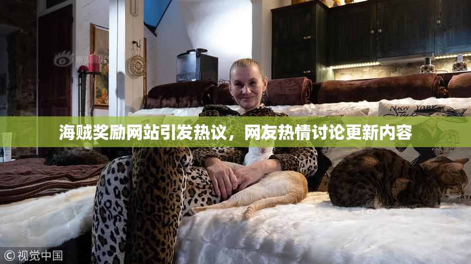 海贼奖励网站引发热议，网友热情讨论更新内容