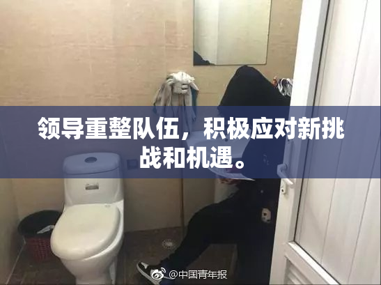 领导重整队伍，积极应对新挑战和机遇。