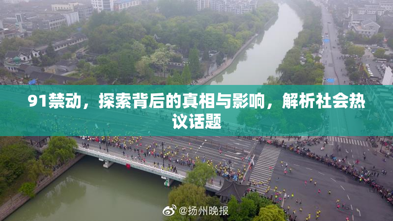 91禁动，探索背后的真相与影响，解析社会热议话题