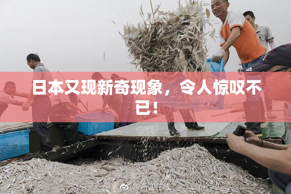 日本又现新奇现象，令人惊叹不已！