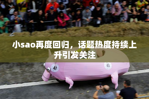 小sao再度回归，话题热度持续上升引发关注