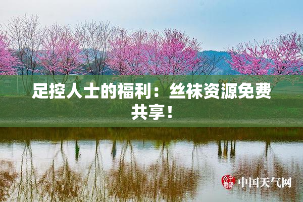 足控人士的福利：丝袜资源免费共享！