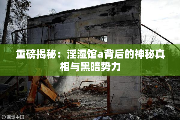 重磅揭秘：淫湿馆a背后的神秘真相与黑暗势力