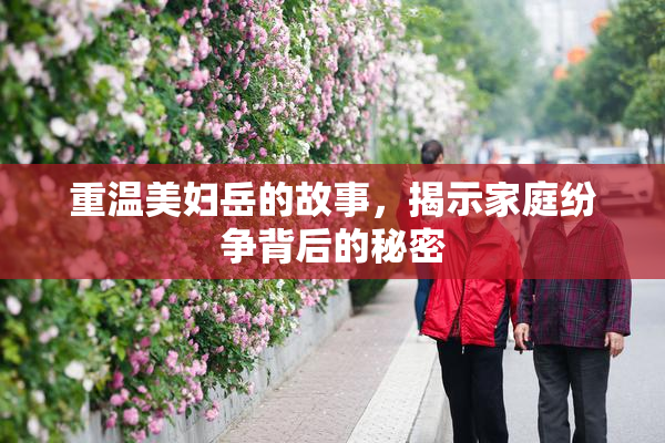 重温美妇岳的故事，揭示家庭纷争背后的秘密
