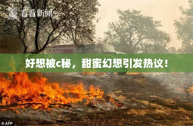 好想被c秘，甜蜜幻想引发热议！
