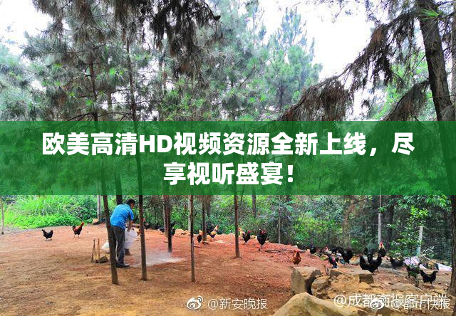 欧美高清HD视频资源全新上线，尽享视听盛宴！