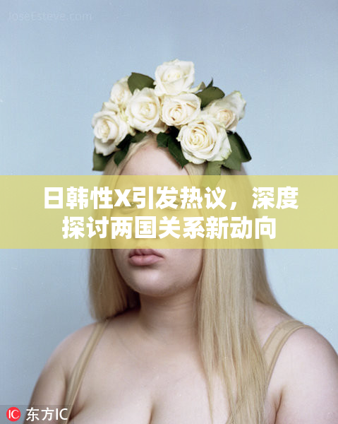 日韩性X引发热议，深度探讨两国关系新动向
