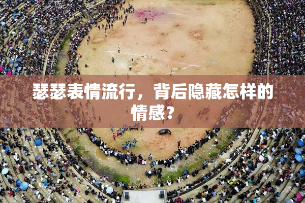 瑟瑟表情流行，背后隐藏怎样的情感？