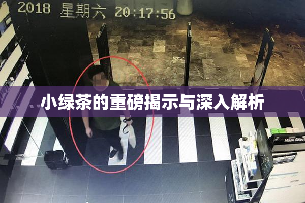 小绿茶的重磅揭示与深入解析