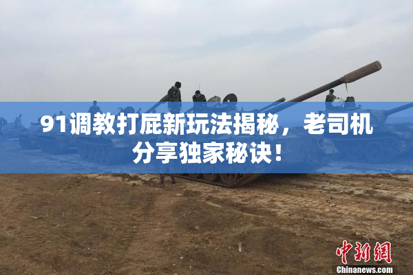 91调教打屁新玩法揭秘，老司机分享独家秘诀！